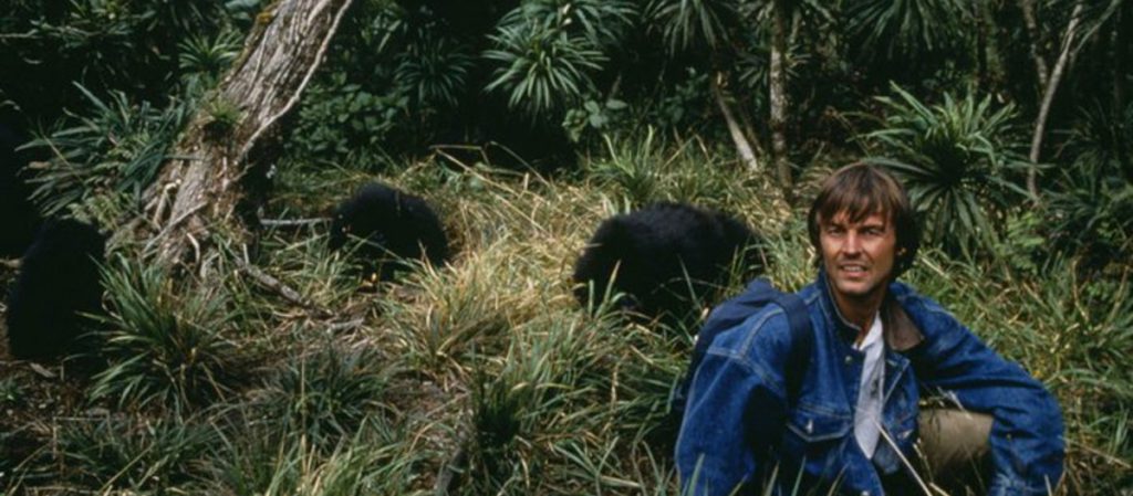 Rwanda, rencontre avec les gorilles