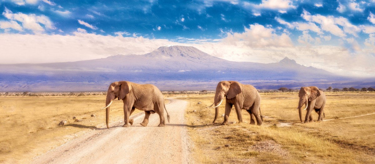 Parc national de Kruger, République d'Afrique du Sud