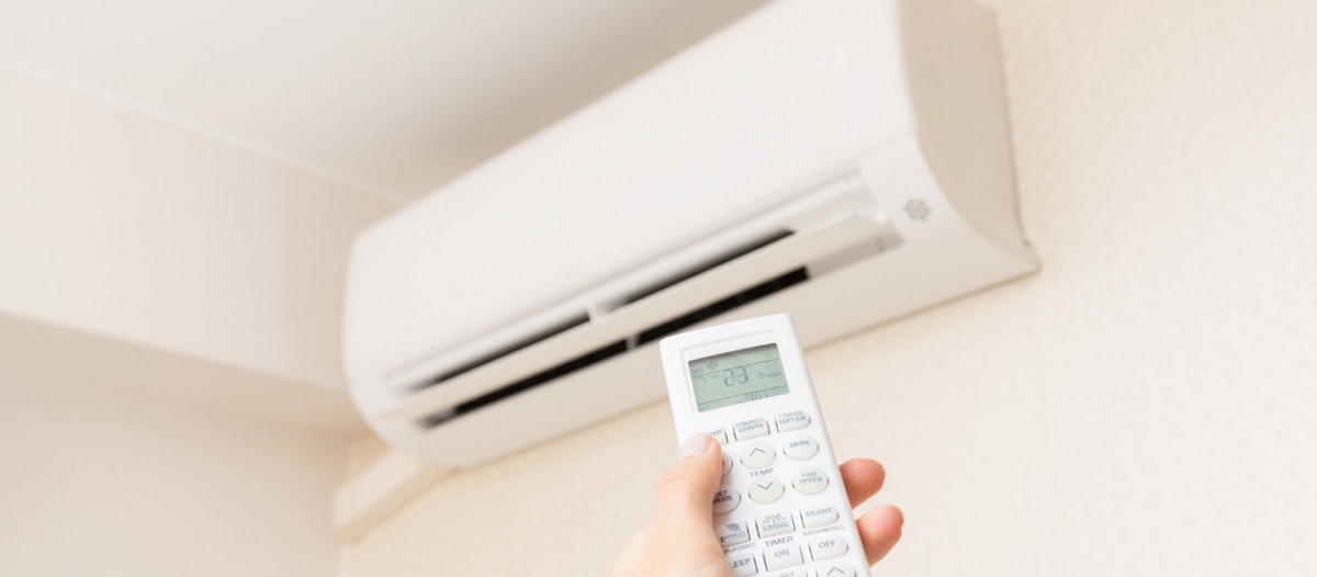 Les Brésiliens ne sont pas les plus écolo...