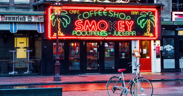Sigue leyendo 5 lieux où vous pouvez consommer de la marijuana légalement