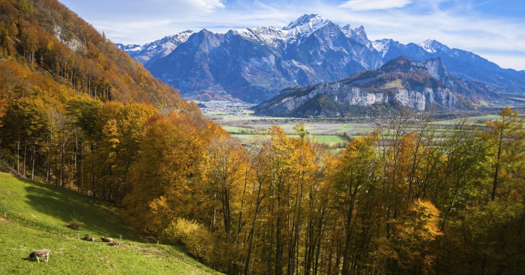 7. Liechtenstein