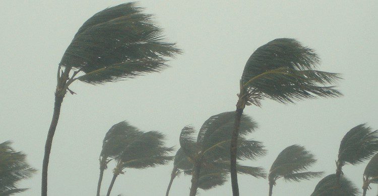 Cyclone (istock)