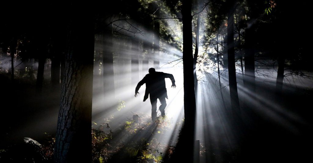 5. Lieu terrifiant : Halloween en forêt