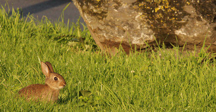 Vacances de Pâques (Flickr)