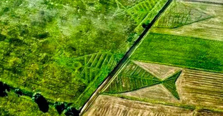 pologne ukraine post fr