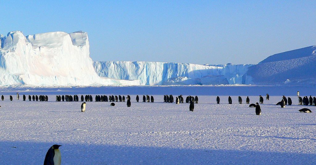 4. L’Antarctique