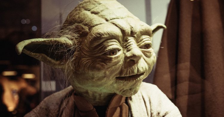 Yoda (Yoda Westerhold - Flickr)