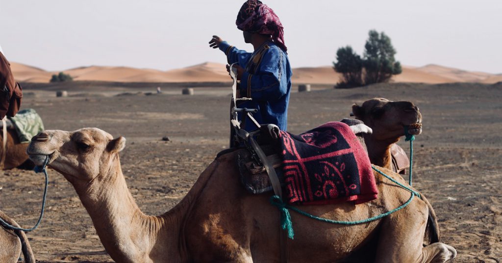 5. Marrakech nous voilà !