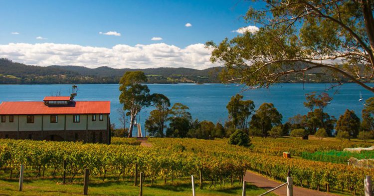 Sigue leyendo 7 régions qui font du très bon vin mais dont vous n&rsquo;avez jamais entendu parler