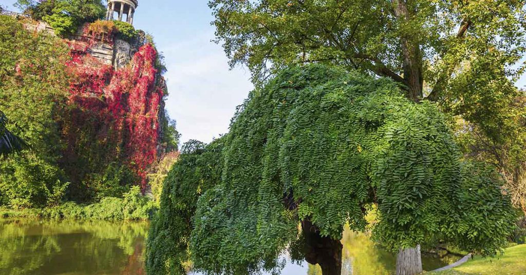 4. Le parc des Buttes-Chaumont