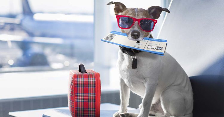 Sigue leyendo Les 4 règles d&rsquo;or pour voyager pas cher !