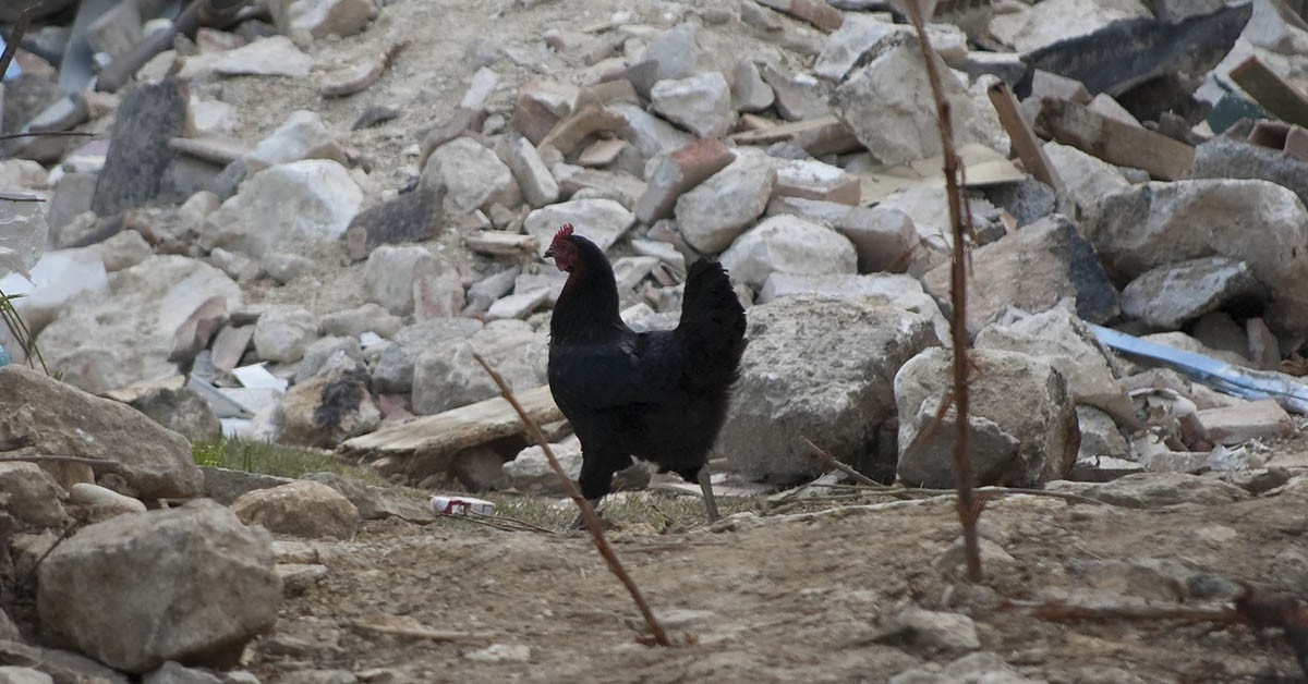 Tremblement de terre (Pixabay)