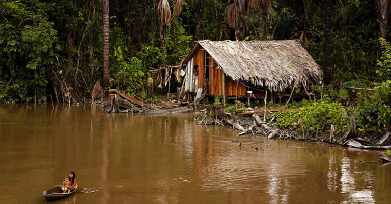 Tribu brésilienne (iStock)