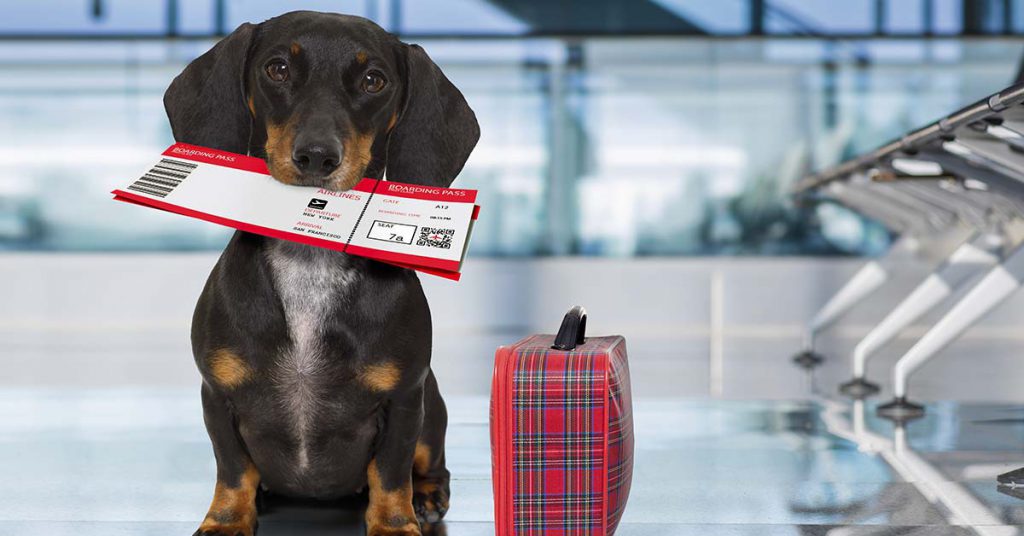 Sigue leyendo Quel est le meilleur jour pour acheter ses billets d&rsquo;avion ?