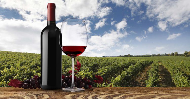 Sigue leyendo Tour des meilleurs vins de France