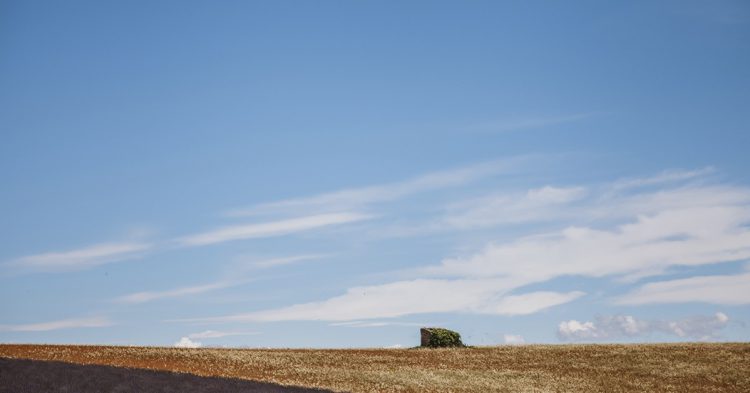 Sigue leyendo Rochefourchat, la commune avec un seul habitant !