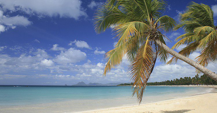 Les Salines plage (Istcok)