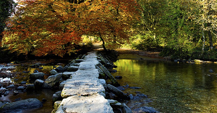 Pont de Tarr Steps, au milieu d'un parc au Royaume-Uni (Istock)
