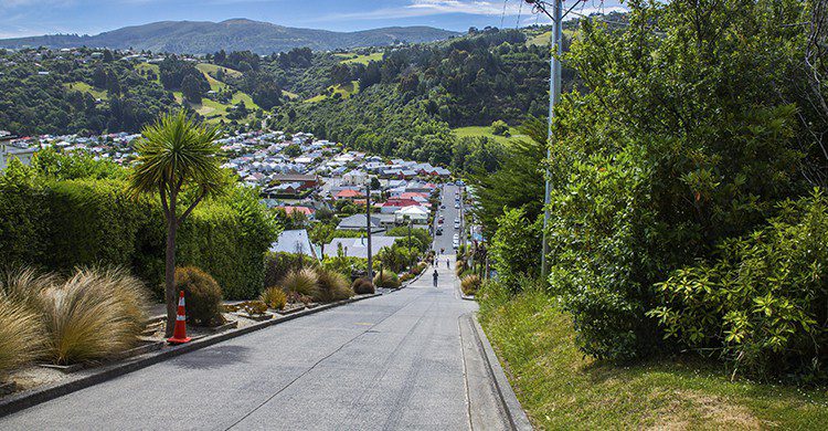 Vue sur Baldwin Street (Istock)