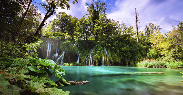 Vue sur un lac de Plitvice (Istock)