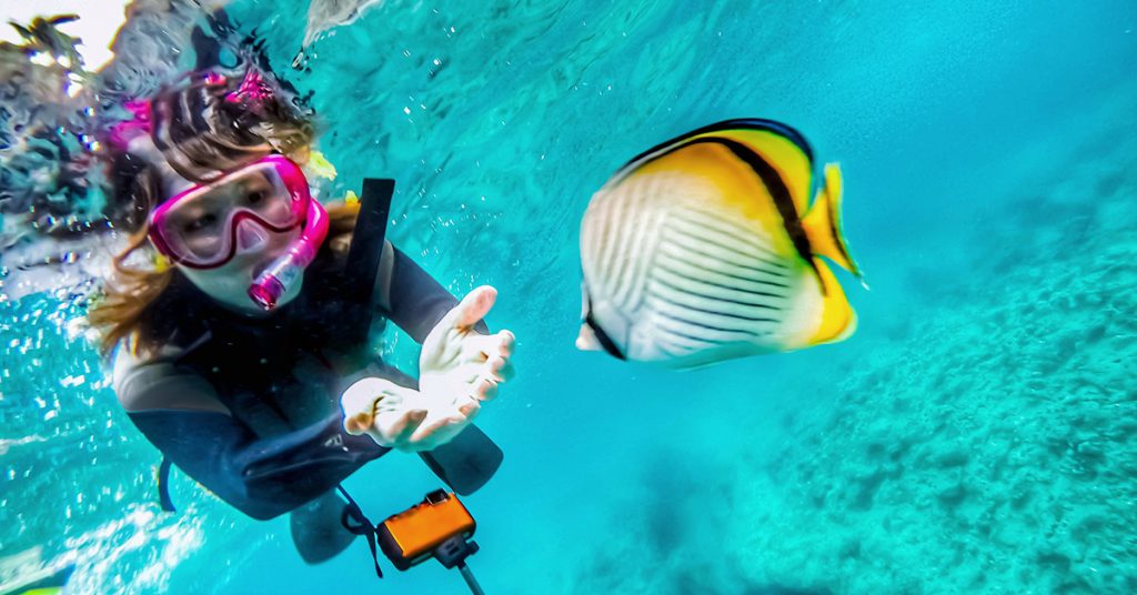 Les 6 meilleurs spots de plongée et snorkeling en France